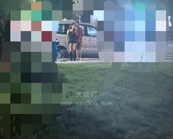 杭州三墩站街